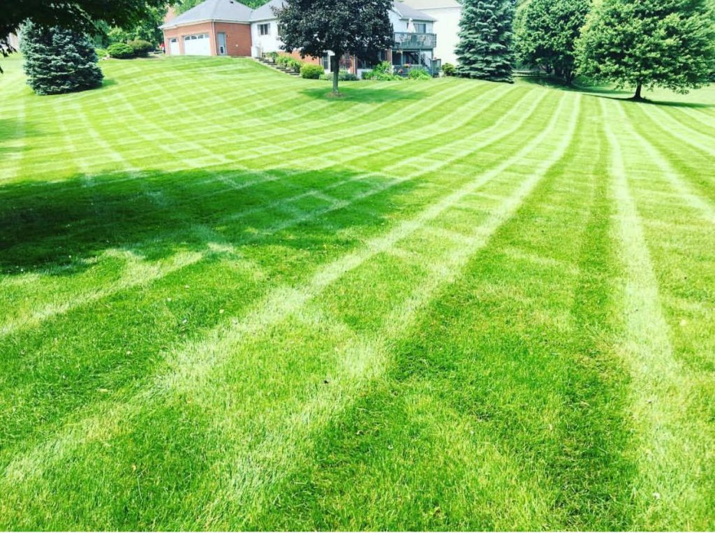 Trace's Lawn Care Landscape Maintenance